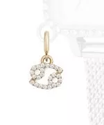 Висулка Daniel Wellington Charm Gold Cancer