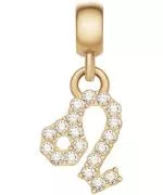 Висулка Daniel Wellington Charm Gold Leo