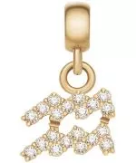 Висулка Daniel Wellington Charm Gold Aquarius