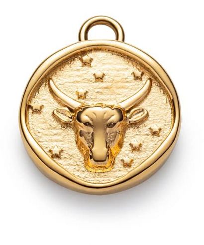Висулка Paul Hewitt Taurus Charm Gold