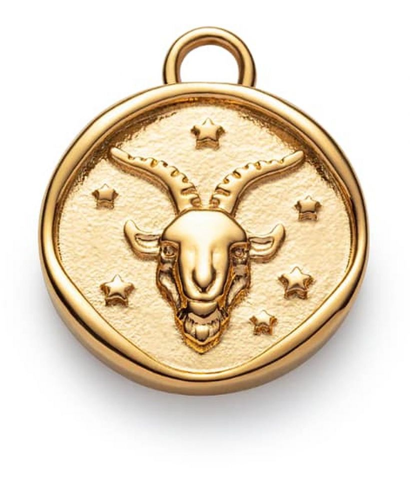 Висулка Paul Hewitt Capricorn