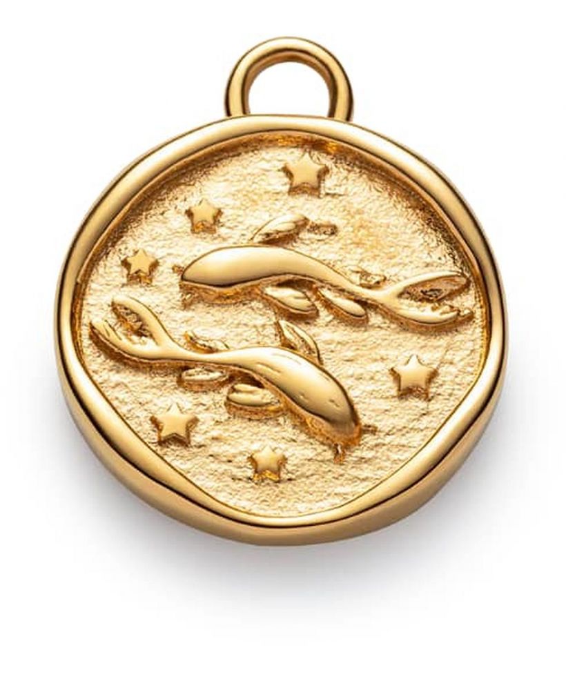 Висулка Paul Hewitt Pisces