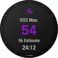 VO2 max. Оценка на