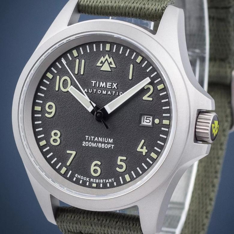 Timex TW2V95300 - Datownik dni miesiąca